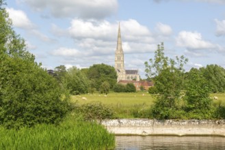 View from Harnham Lock over water meadows to Salisbury cathedral church, Salisbury, Wiltshire,