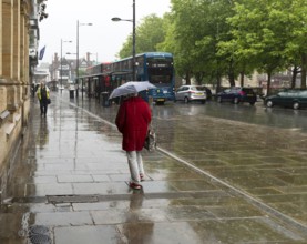 Woman with umbrella walking in heavy rain, city centre of Salisbury, Wiltshire, England, UK