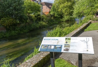 Caring for the River Avon ecology sign information, Salisbury, Wiltshire, England, UK