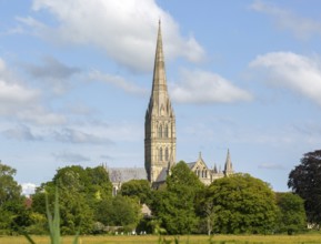 View over water meadows to Salisbury cathedral church, Salisbury, Wiltshire, England, UK
