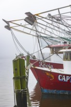 Commercial shrimp boats at the dock in the commercial area of the Biloxi Small Craft Harbor in