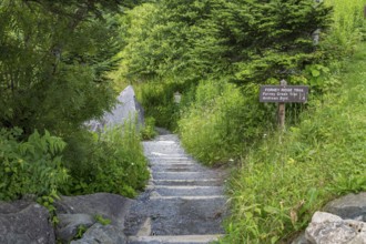 Entrance to Forney Ridge Trail, Forney Creek Trail and Andrews Bald Trail from Clingman's Dome in