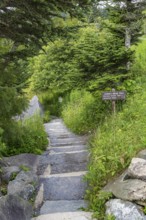 Entrance to Forney Ridge Trail, Forney Creek Trail and Andrews Bald Trail from Clingman's Dome in