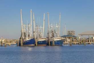 Commercial shrimp boats in the harbor at Pass Christian, Mississippi
