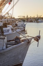 Commercial shrimp boats in the harbor at Pass Christian, Mississippi at dusk