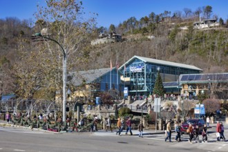 Tourists walking past Ripley's Aquarium of the Smokies on street decorated for the Christmas