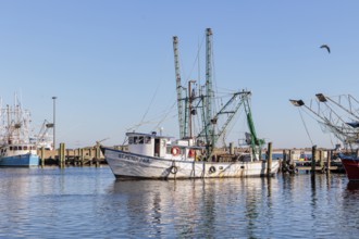 Commercial fishing boat St. Peter. Paul pulling into the dock in the commercial section of the