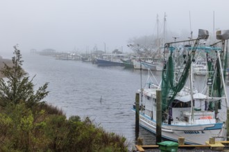 Commercial fishing boats in the harbor at Ocean Springs, Mississippi on a foggy morning