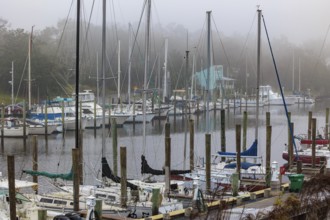 Private sailboats and fishing boats in the harbor at Ocean Springs, Mississippi on a foggy morning
