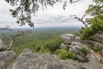 Overlook along the Pulpit Rock Trail in Cheaha State Park, Alabama, USA