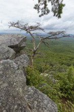 Overlook along the Pulpit Rock Trail in Cheaha State Park, Alabama, USA