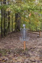 Disc golf basket on the course at Tombigbee State Park near Tupelo, Mississippi