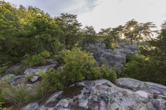 Sun shining through the trees onto the rock outcroppings at Cheyene Rock Village park near