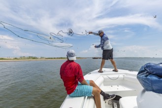 Fisherman throwing cast net to catch bait fish for offshore fishing trip in Gulf of Mexico