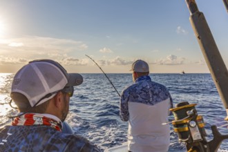 Fisherman trolling for fish in the Gulf of Mexico