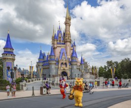 Winnie the Pooh and Tigger walk past Cinderella's Castle at the end of Main Street in the Magic
