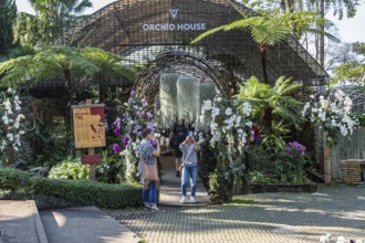 Woman taking selfie photo at the Orchid House at Mae Fah Luang Gardens within the Doi Tung tourist