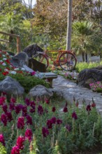 Orange bicycle decoration along the walking path at Mae Fah Luang Gardens within the Doi Tung