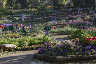 Landscape workers in Mae Fah Luang Gardens within the Doi Tung tourist attraction in Chiang Rai,