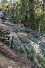 Mae Fah Luang Gardens within the Doi Tung tourist attraction in Chiang Rai, Thailand