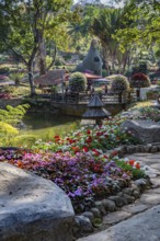 Llama tree at Mae Fah Luang Gardens within the Doi Tung tourist attraction in Chiang Rai, Thailand