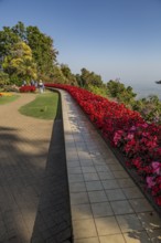 Colorful lush flower gardens line the perimeter of the mountain top Doi Tung Royal Villa lawn with