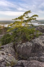View of Weiss Lake from Cheyene Rock Village park near Leesburg, Alabama
