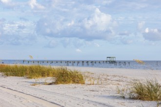 Sea oats and abandoned damaged piers along the man-made sand beach at Pass Christian, Mississippi