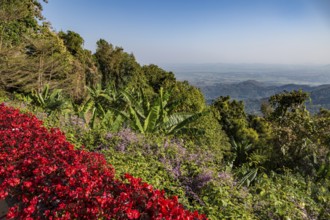 Colorful lush flower gardens line the perimeter of the mountain top Doi Tung Royal Villa lawn with