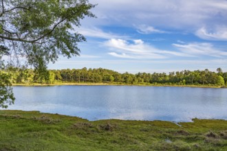 Lake at Little Black Creek campground near Lumberton, Mississippi