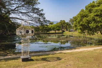 Lily pads in a pond on the campus of CRRU Shiangrai Rajabhat University in Chiang Rai, Thailand