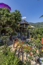Lush garden at the Doi Phamee coffee shop and restaurant in Mae Sai district of Chiang Rai,