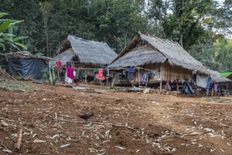 Residences of the Akha tribe area of the Union of Hill Tribe Villages outside of Chiang Rai in the