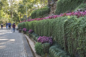 American tourists walking on street through lush gardens leading to the Doi Tung Royal Villa inside