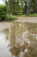 Rain puddle, rainwater, Ostseeallee, Baltic Sea, Baltic seaside resort, Kühlungsborn, Rostock
