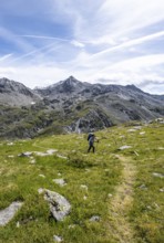 Mountaineer on hiking trail above the Peischachtörl, summit Böses Weibl in the background, Wiener