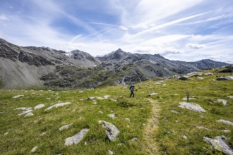 Mountaineer on hiking trail above the Peischachtörl, summit Böses Weibl in the background, Wiener