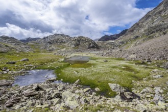 Mountain lakes in a high mountain landscape on the Obere Senner Egete between meadows full of