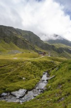 Mountain stream between alpine meadows with Martalm, Lazzacher Tal, Seven Lakes Hike, Stubai Alps,