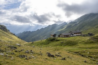 Alpine meadows with Martalm, Lazzacher Tal, Seven Lakes Hike, Stubai Alps, near Ridnaun, South