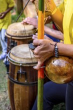 Meeting of Brazilian musicians playing their berimbaus and atabaques outdoors, Minas Gerais, Brazil