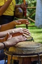 Musicians playing berimbau and atabaque in Brazilian capoeira outdoors, Minas Gerais, Brazil