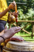Hands of musicians playing berimbau and atabaque in Brazilian capoeira outdoors, Minas Gerais,