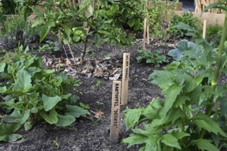 Outdoor exhibition on agriculture and cultivation in front of the Futurium next to the Federal