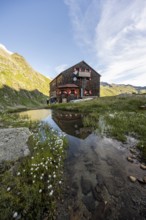 Mountain hut Elberfelderhütte with small lake and cotton grass, in the morning light, in the upper