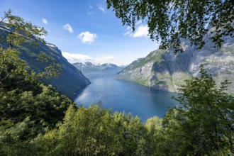 View of the idyllic fjord landscape of the Geirangerfjord at Blomberg Gård, near Geiranger, Møre og
