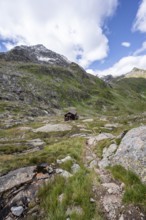 Elberfelderhütte mountain hut in the upper Gössnitztal valley, Wiener Höhenweg, Schober group, Hohe
