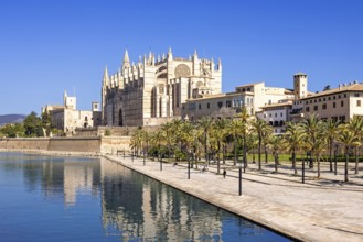 View at the famous Palma Cathedral with reflections in the water a sunny summer day, Palma de