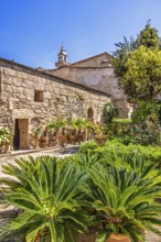 Lush green plants in terracotta pots in a the beautiful Banys Arabs garden a sunny summer day,