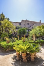 Lush green plants in terracotta pots in on a garden path at the beautiful Banys Arabs garden a